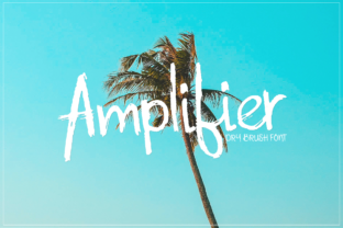 Amplifier: A Dry Brush Font for a Textured, Refined Look