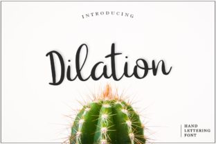 Dilation: A Handmade Calligraphy Font for Branding and Creativity