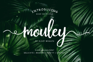 Mouley: A Trendy Handwritten Script Font for Modern Designers
