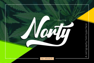 Norty: A Fresh, Painterly Display Font for Creative Projects