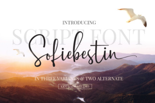 Sofiebestin Script: A Modern Handwritten Font for a Personalized Digital World