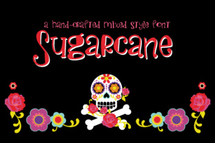 Sugarcane: A Whimsical Font for Youthful and Bookish Expression